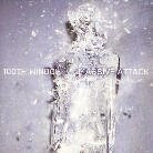 Massive Attack - 100th Window
